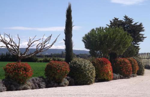 Demeure d'hôtes et Mas Maurice - Foto 15