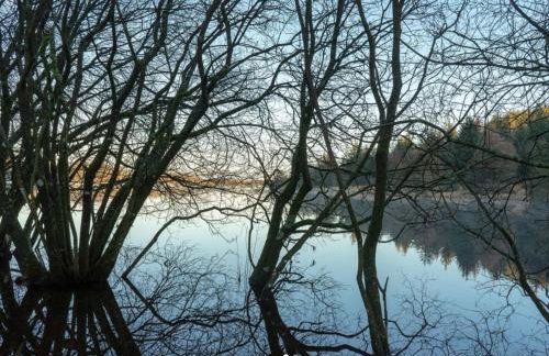 Swan Landing - Photo 30