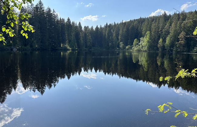 Kesslerberg - Foto 19