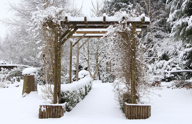 Family Retreat With Garden - Photo 33