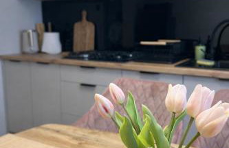 Apartament Paoli 2 - Foto 8