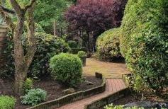 Wohlfühloase - Foto 6