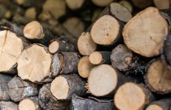 House Vera - Photo 29