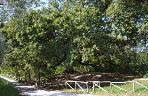 Casa Ginori - Foto 36