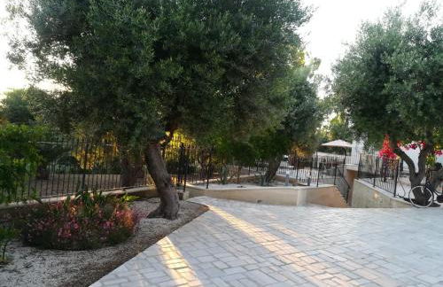 Riserva Ancelle - Foto 24