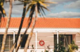 Vale Pisco - Photo 122