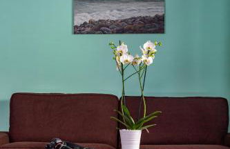 Villa Menelaos - Foto 60