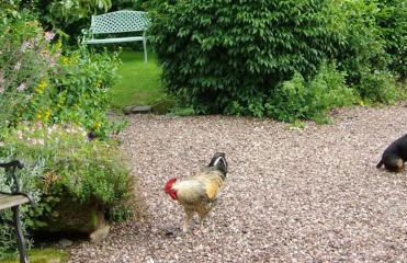 Parrs cottage - Foto 9