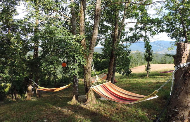 Società Agricola Cacigolara - Foto 41