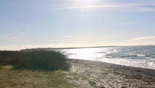 Haus Annelie FEWO 1 EG - Foto 4