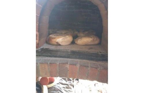 Sitio Libardo em Meio a Natureza - Nova Trento - Foto 132