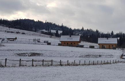 Domki Cztery Pory Roku - Foto 43