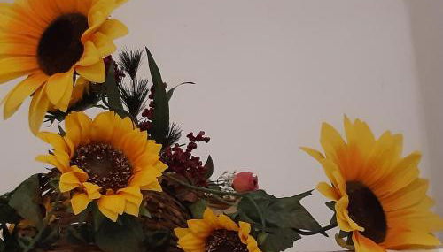 Il Falco Grillaio - Foto 2