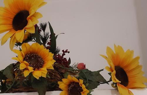 Il Falco Grillaio - Foto 2