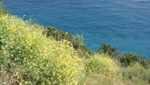 Casa Isabella - Foto 3