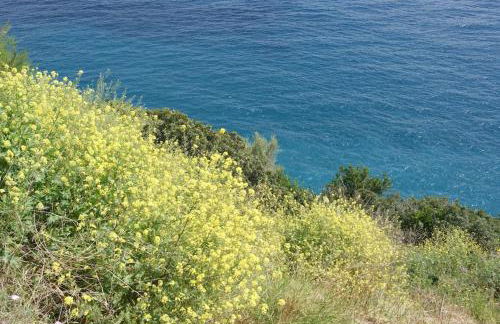 Casa Isabella - Foto 3