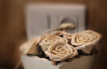 Mi Limón mi limonero - Foto 26