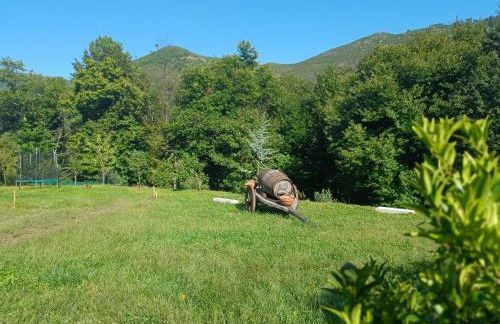 Quinta da Casa Matilde - NATURE HOUSE - Foto 67