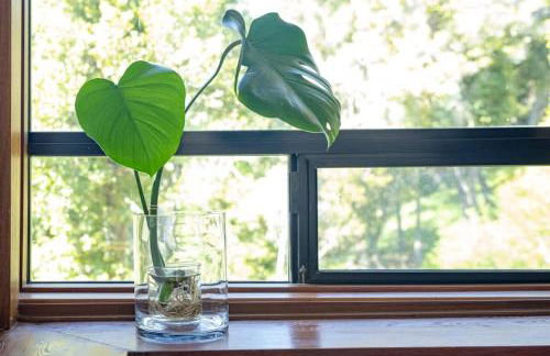 Peaceful Treehouse with Ocean View - Foto 49