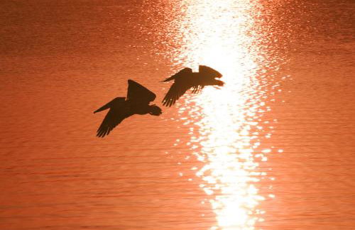 NEW! SaltWater Serenity less than 500ft to AMI, Canal Front! - Foto 60