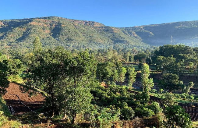 Chardara Agro Tourism - Foto 29