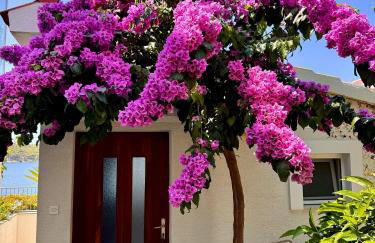 Barižon Apartments - Photo 2