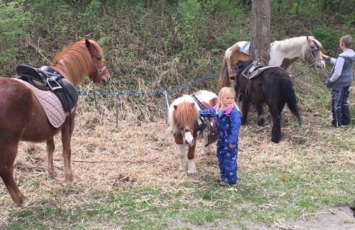 Ferienhaus Spielburg - Foto 72