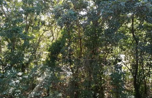 Flat Duplex em Resort Paradisíaco - Foto 9