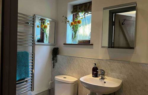 Quirky 1 bedroom barn on the river in Arundel - Foto 17