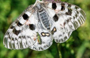 Ferienhaus Heimes - Foto 46