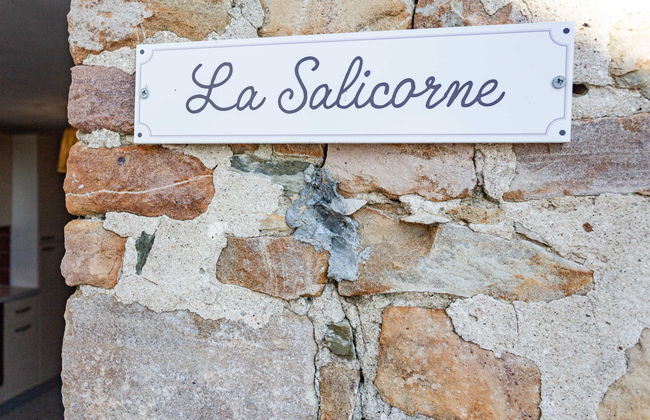 La salicorne - Foto 16