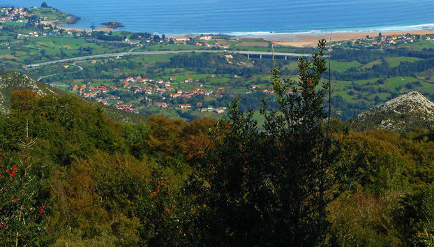 Pienzu Peak Hiking Tour - Photo 3, Immerse yourself in nature