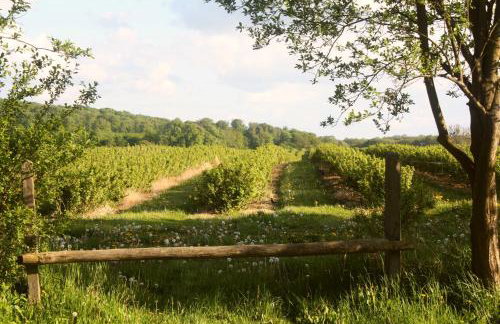 Forsthof Niendorf - Foto 39