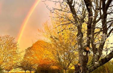 Maison Hestia - Foto 14