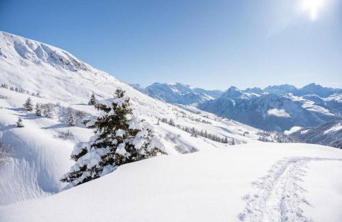 l'Ourson appartement central champagny la plagne - Foto 12