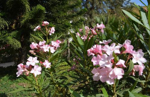 THE TEIDES WINDOW swimming pool LA VENTANA DEL TEIDE - Foto 61