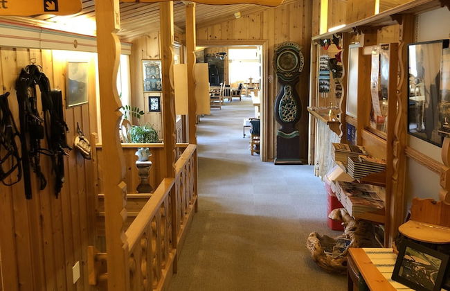 Toftemo Turiststasjon Hytter - Photo 2