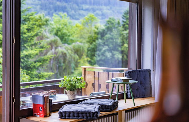 Titisee Haus an der Sonne by Kuckucksnester - Foto 55