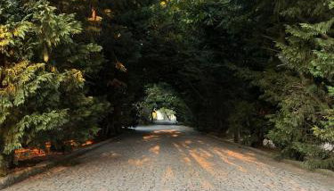 Quinta Santo Antonio do Rio - Foto 4