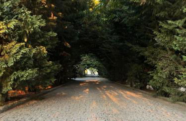 Quinta Santo Antonio do Rio - Foto 9