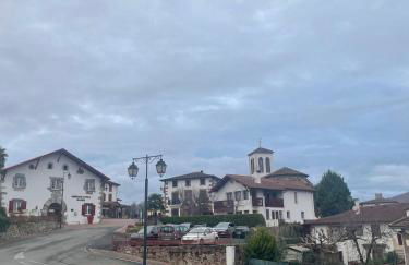 Compostelle Chemin Garazi - Foto 13