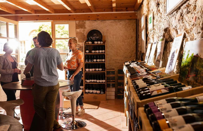 Visita allo Château de Luc - Foto 5