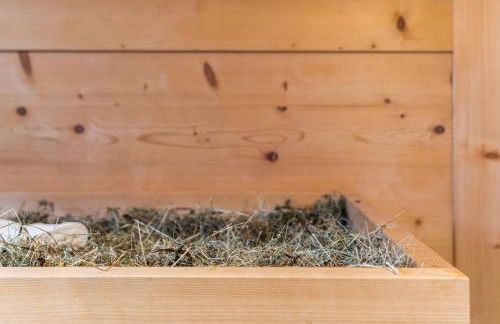 Ciasa Iachin - Dolomites Dream Retreat - Photo 23