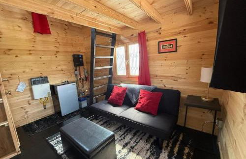 Secluded, Pet Friendly Cabin near Denali National Park with Mountain and Lake Views, Perfect for an Alaskan Escape - Foto 12