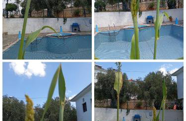 Argo - Mythos - Photo 48