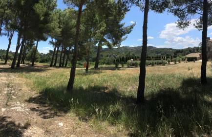 typical provencal farm in an exceptional natural site, the alpilles park - 8 people. - Foto 25