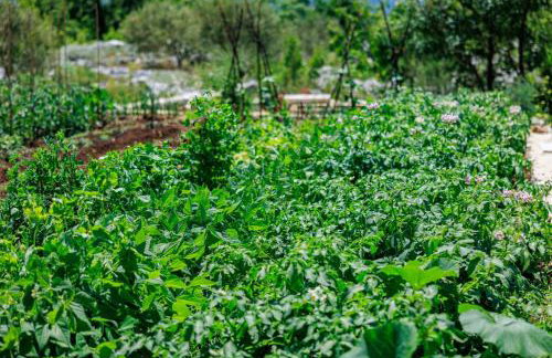 Perfect holiday in Vila Hany home - Foto 29