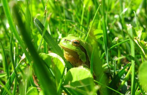 Domek na wsi Mokosz - Photo 32