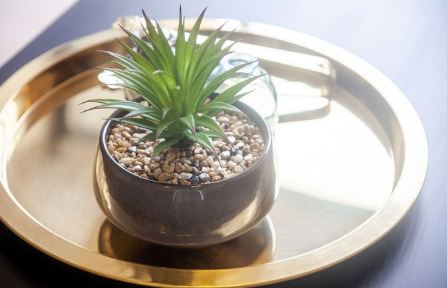 Maison Home - Marinas Apartments - Photo 25