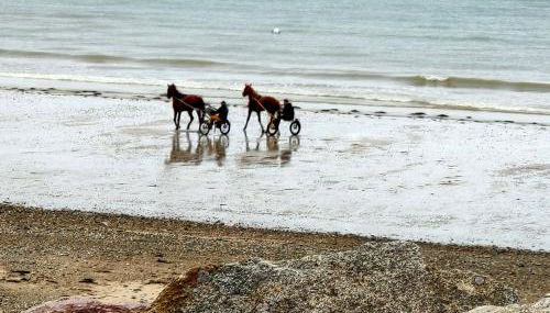 Les sables d'or - Foto 4